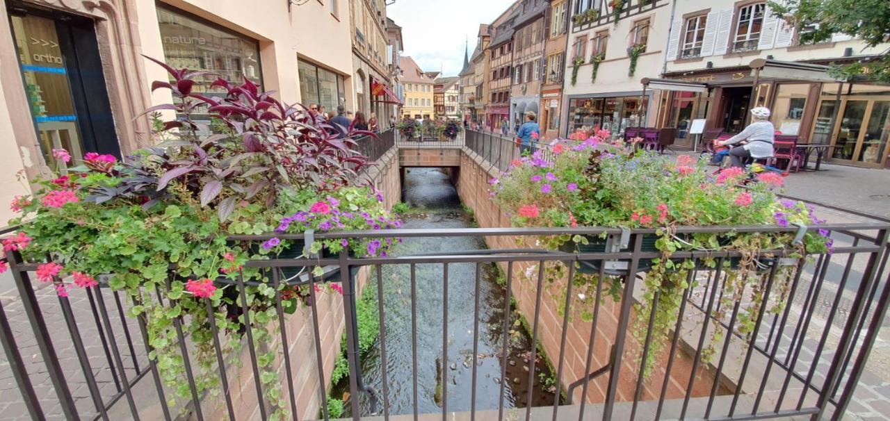 Le Green St Leon : Lit Queen Size * Wifi * Ideal Couple كولمار المظهر الخارجي الصورة